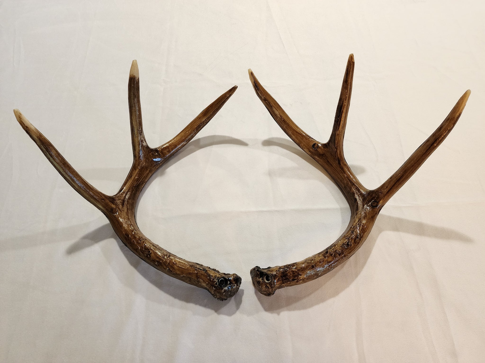 Deer Rattle Antlers