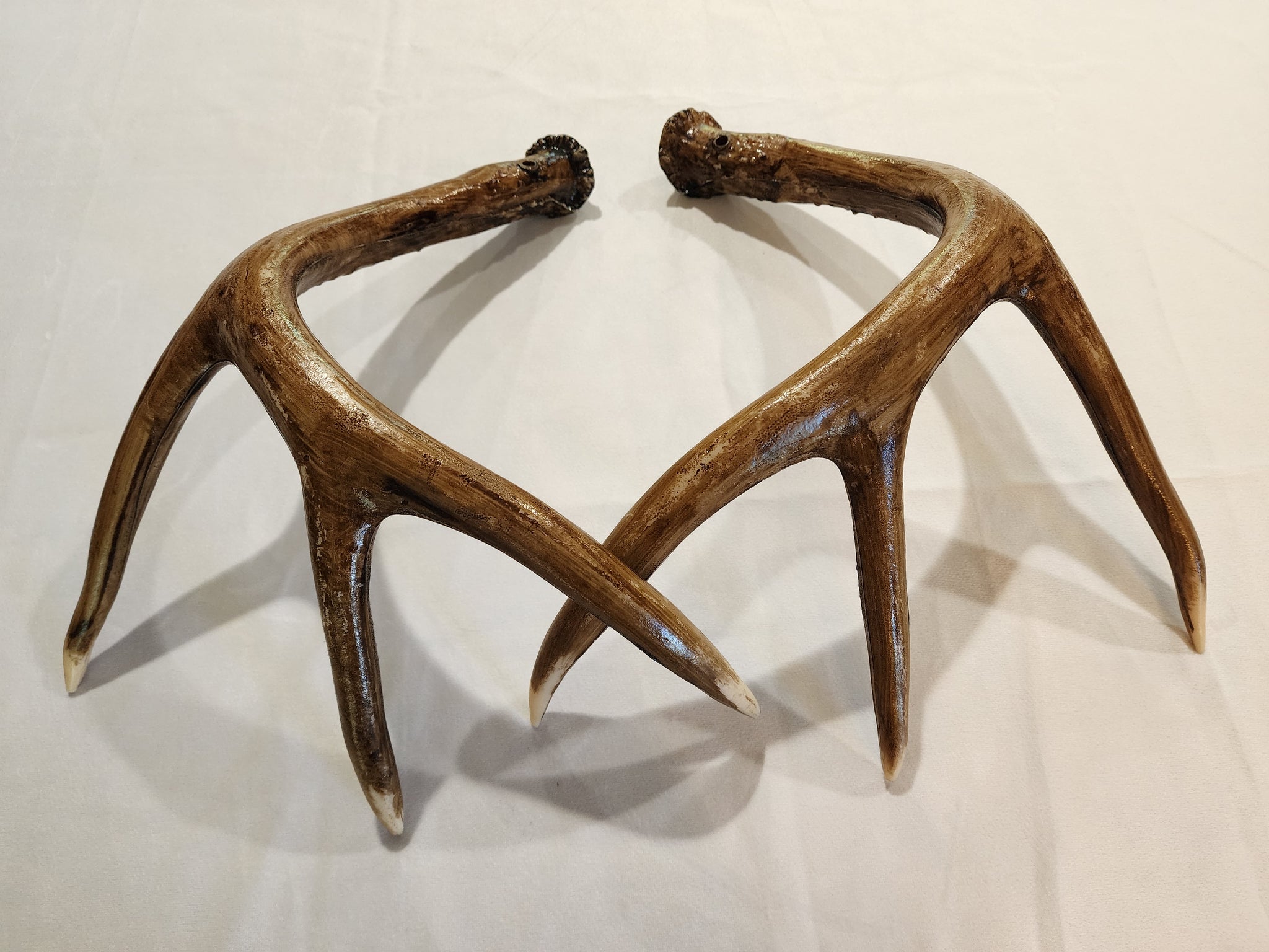 Deer Rattle Antlers