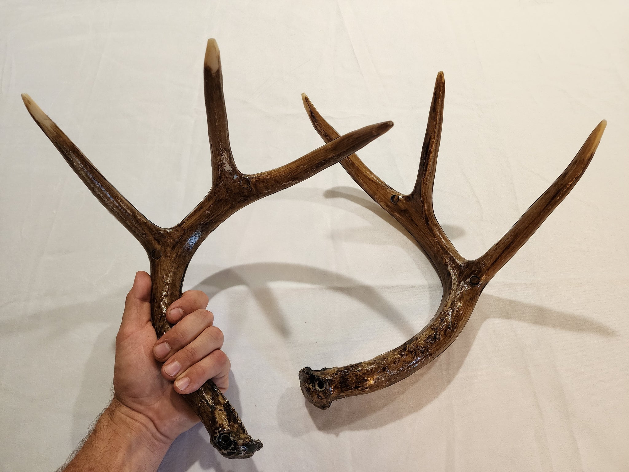 Deer Rattle Antlers