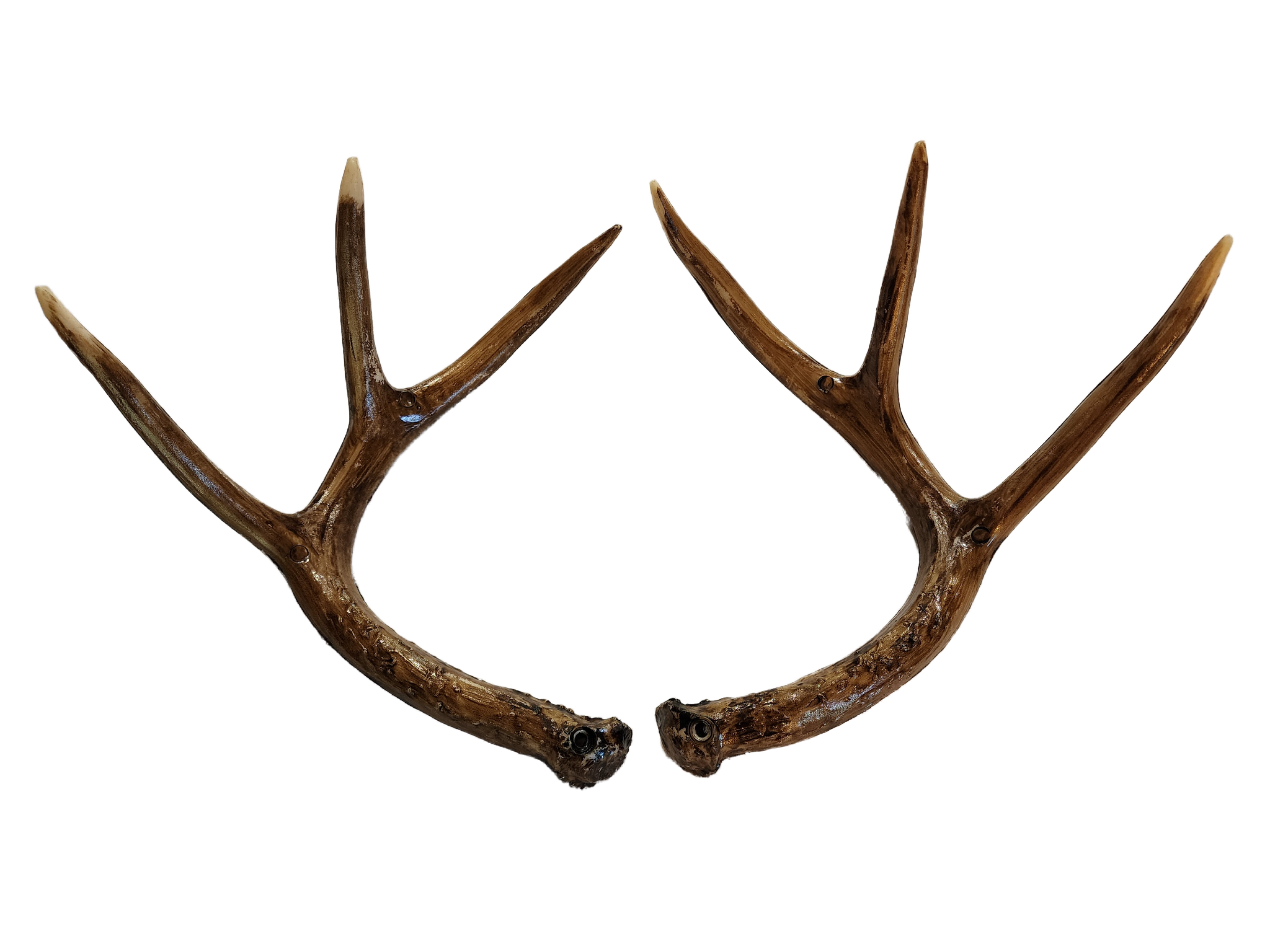 Deer Rattle Antlers