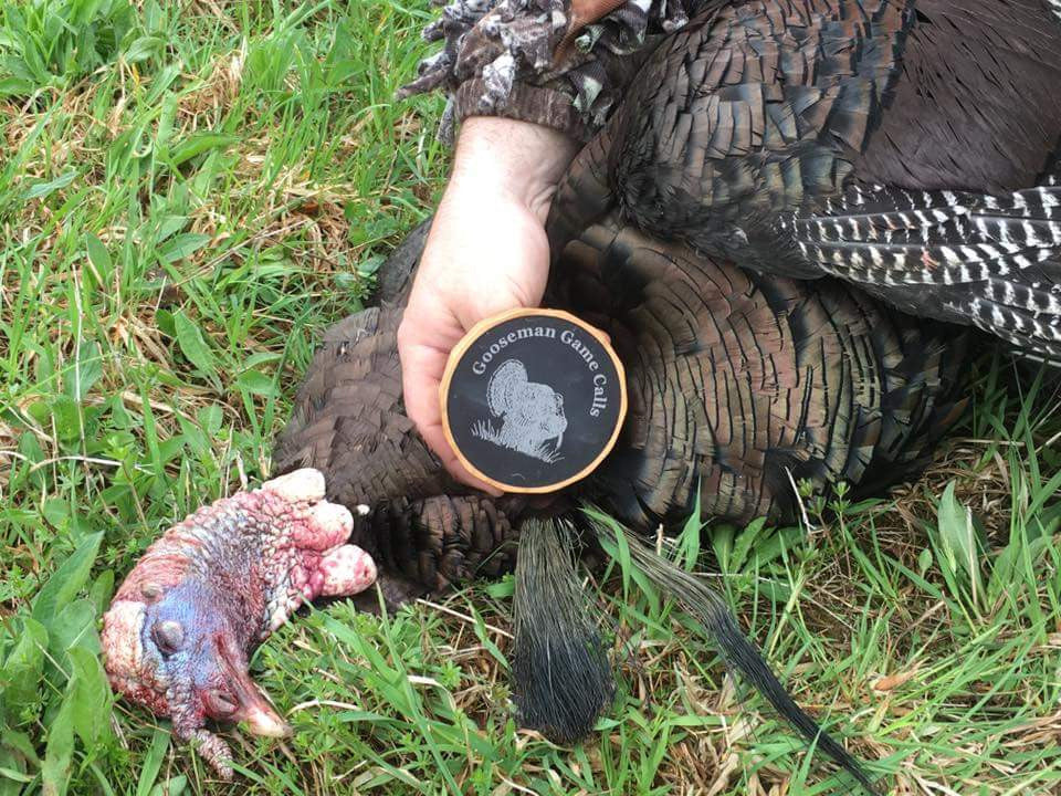 Powder Coated Aluminum / Slate Turkey Call